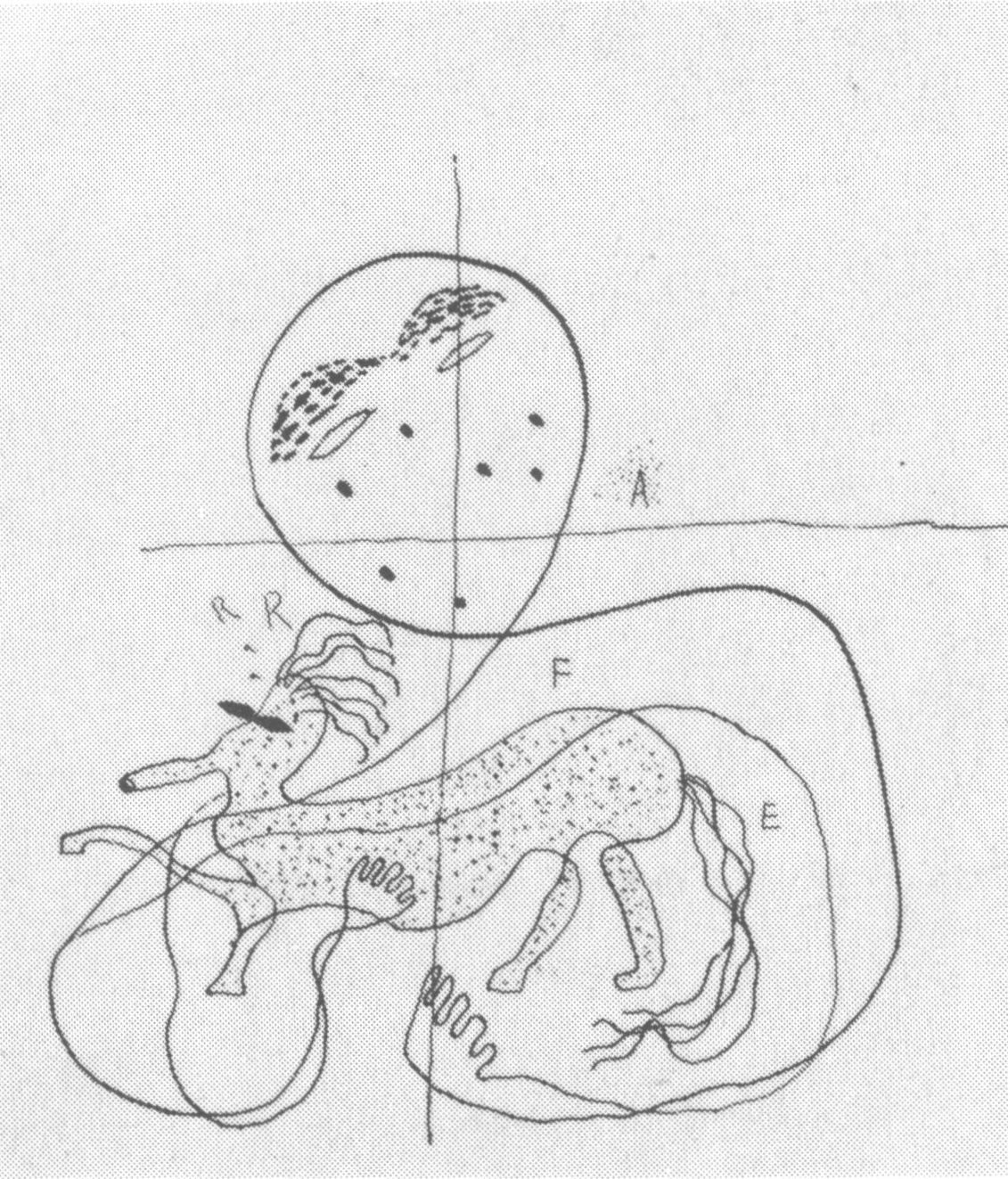 Автопортрет с фигуркой животного. Рисунок Гарсиа Лорки Автопортрет с фигуркой животного. Рисунок Гарсиа Лорки