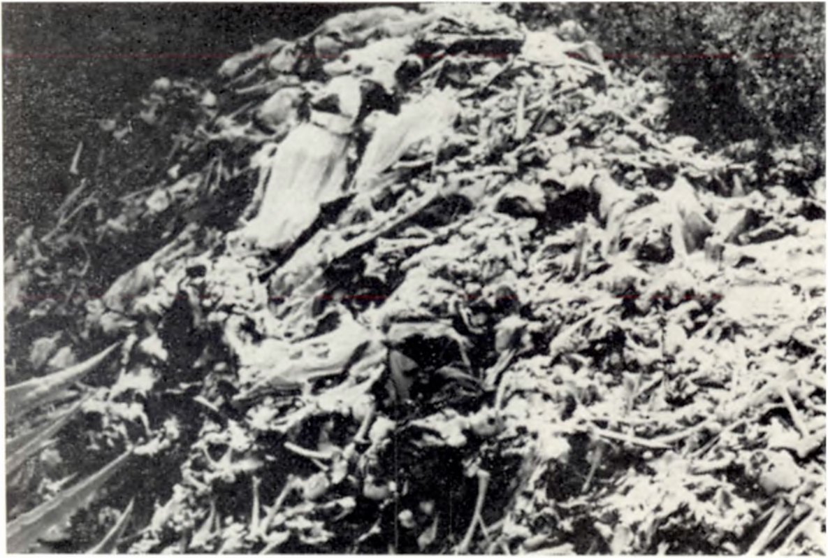 Груды костей, 1966 г Груды костей, 1966 г